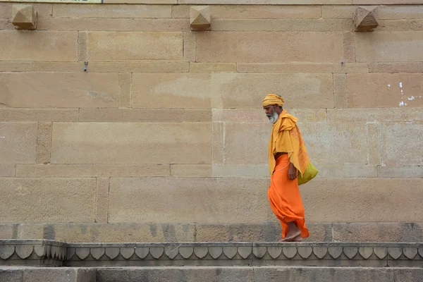 Shaiva sadhu buscando limosnas en la calle Imagen De Stock