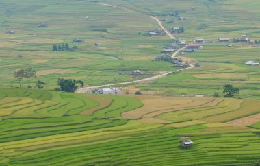 Sapa, Kuzeybatı Vietnam pirinç Teras alanları