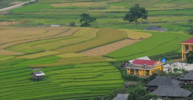 Hmong Köyü Sapa pirinç alanlar arasında