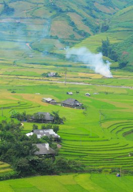 Hmong Köyü Sapa pirinç alanlar arasında