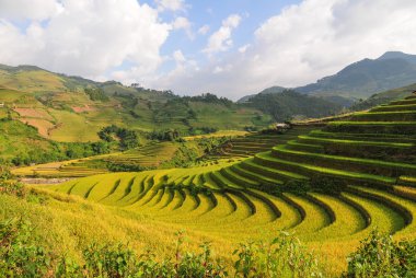 Sapa, Kuzeybatı Vietnam pirinç Teras alanları