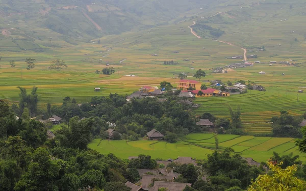 Hmong Köyü Sapa pirinç alanlar arasında — Stok fotoğraf
