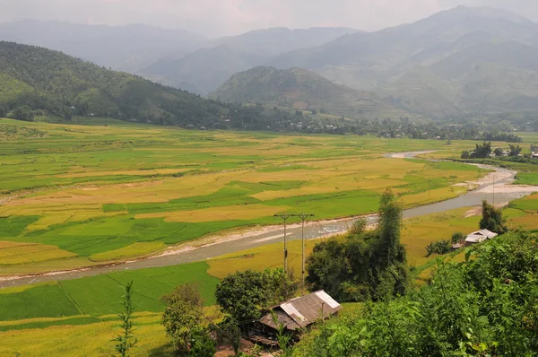 Hmong village between the rice fields in Sapa — Stock Photo, Image