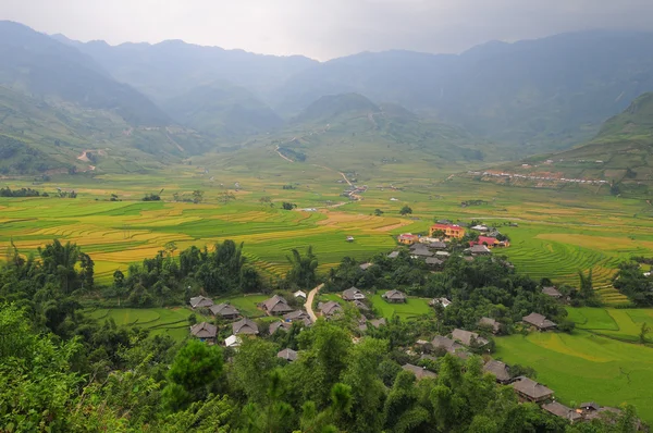 Aldeia de Hmong entre os campos de arroz em Sapa — Fotografia de Stock