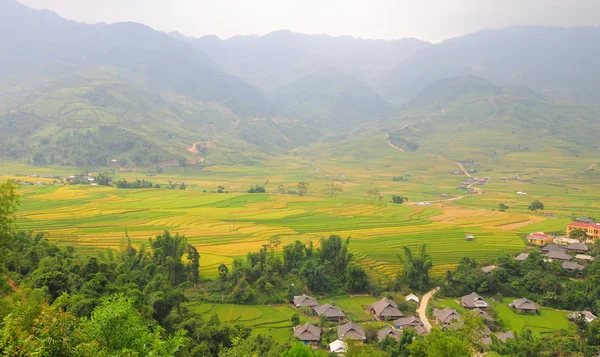 Aldeia de Hmong entre os campos de arroz em Sapa — Fotografia de Stock