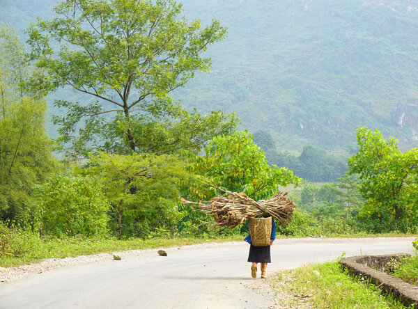 Ethnic minority woman carrying grass to home