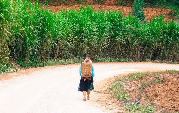 Women of Hmong walking on the road — Stock Photo, Image