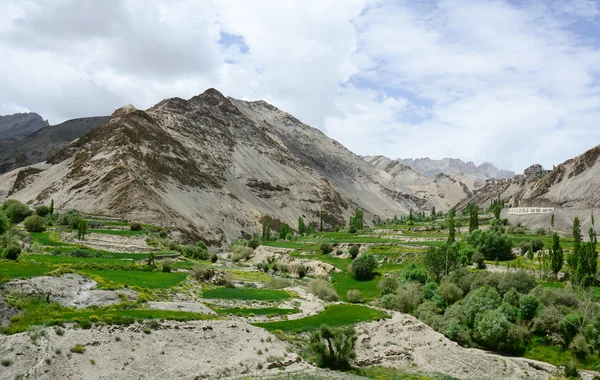 Paisaje de montaña de Ladakh, India — Foto de Stock