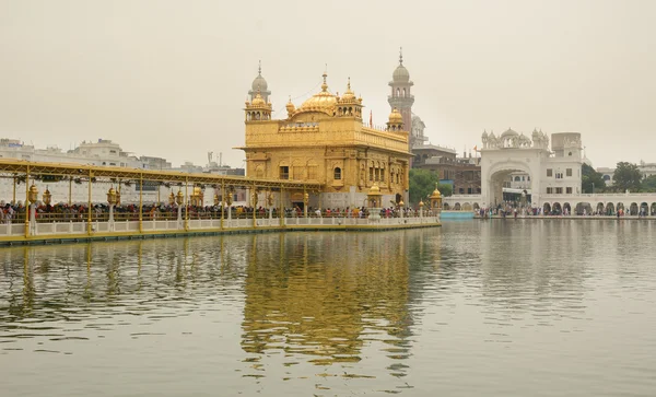 Szikh zarándokok a golden temple-ben — Stock Fotó