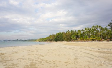 Birçok Hindistan cevizi ağaçları ile güzel bir plaj tatil