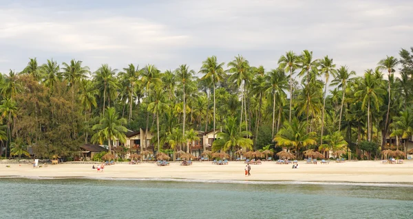 Beautiful beach resort with many coconut trees — Stock Photo, Image