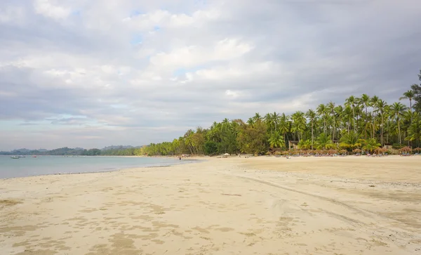 Hermoso complejo de playa con muchos cocoteros — Foto de Stock