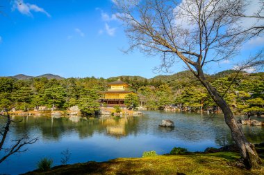 Kinkakuji Tapınağı ve Japonya, Kyoto 'daki güzel göl manzarası..