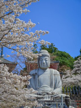Japonya 'nın Nara kentindeki Tsubosaka Tapınağı' nda büyük Buda heykeli ve şeftali çiçekleri çiçek açıyor..