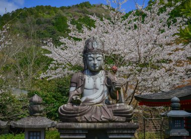 Japonya 'nın Nara kentindeki Tsubosaka Tapınağı' nda büyük Buda heykeli ve şeftali çiçekleri çiçek açıyor..