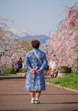 Japonya 'nın Fukushima bölgesinin kırsal kesiminde, Nicchu Hattı' nda çiçeklere hayran olan Çinli bir kadın kiraz çiçekleri açıyor..