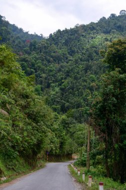 Kuzeybatı Vietnam 'daki Sapa kasabasında yağmur mevsiminde dolambaçlı dağ yolları.