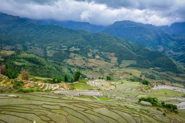 Kuzeybatı Vietnam 'ın engebeli dağlarındaki güzel pirinç tarlaları..