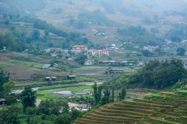 Kuzeybatı Vietnam 'ın engebeli dağlarındaki güzel pirinç tarlaları..