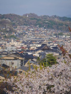 Japonya 'nın Kanazawa kentindeki kiraz çiçeklerinin hava manzarası çiçek açıyor..