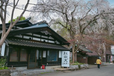 Kakunodate, Japonya - 24 Nisan 2025. Geleneksel Japon evleri Japonya 'nın Kakunodate kentindeki tarihi samuray caddesini kaplıyor..