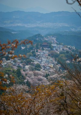 Japonya 'daki Yoshinoyama Ulusal Parkı' nda kiraz çiçekleriyle kaplı bir dağ kasabasının geniş manzarası..