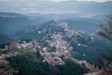 Japonya 'daki Yoshinoyama Ulusal Parkı' nda kiraz çiçekleriyle kaplı bir dağ kasabasının geniş manzarası..