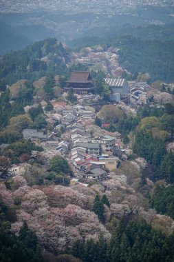 Japonya 'daki Yoshinoyama Ulusal Parkı' nda kiraz çiçekleriyle kaplı bir dağ kasabasının geniş manzarası..