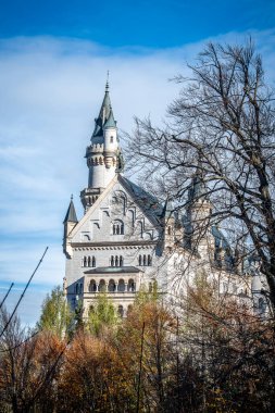 Neuschwanstein Şatosu Schwangau, Almanya 'da sonbahar ormanları ile çevrili..