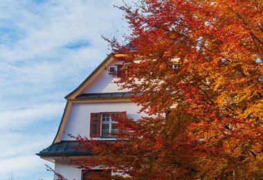 Almanya, Bavyera 'da mevsimlik sıcacık renklerle resmedilmiş sonbahar manzarası.