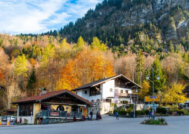 Schwangau, Almanya - 29 Ekim 2025. Almanya, Bavyera 'da mevsimlik sıcacık renklerle resmedilmiş sonbahar manzarası.