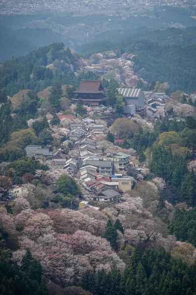 Japonya 'daki Yoshinoyama Ulusal Parkı' nda kiraz çiçekleriyle kaplı bir dağ kasabasının geniş manzarası..