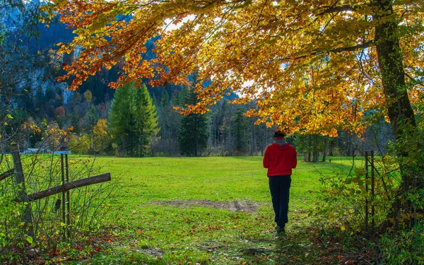 Almanya, Bavyera 'da mevsimlik sıcacık renklerle resmedilmiş sonbahar manzarası.