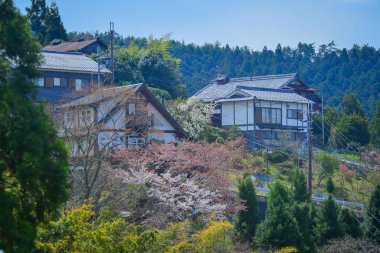 Japonya 'nın Nara, Yoshino Dağı' nda çiçek açan kiraz çiçekleriyle çevrili büyüleyici yamaç köyü..
