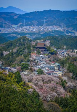 Japonya 'nın Nara, Yoshino Dağı' nda çiçek açan kiraz çiçekleriyle çevrili büyüleyici yamaç köyü..