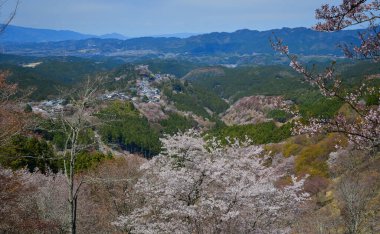 Nisan ayında Yoshino Dağı (Yoshinoyama), Nara, Japonya 'da kiraz çiçekleri açar, ünlü bir sakura izleme merkezi ve UNESCO Dünya Mirası kültürel manzarası.