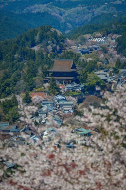 Japonya 'nın Nara, Yoshino Dağı' nda çiçek açan kiraz çiçekleriyle çevrili büyüleyici yamaç köyü..