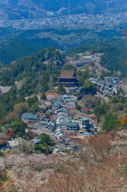 Japonya 'nın Nara, Yoshino Dağı' nda çiçek açan kiraz çiçekleriyle çevrili büyüleyici yamaç köyü..