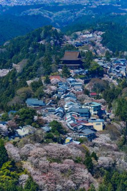 Japonya 'nın Nara, Yoshino Dağı' nda çiçek açan kiraz çiçekleriyle çevrili büyüleyici yamaç köyü..