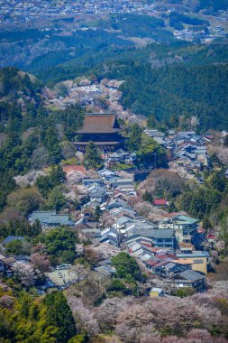 Japonya 'nın Nara, Yoshino Dağı' nda çiçek açan kiraz çiçekleriyle çevrili büyüleyici yamaç köyü..