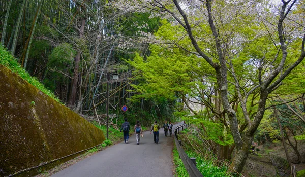 Nara, Japonya - 12 Nisan 2019. Yoshino Dağı, Nara, Japonya 'daki kiraz çiçeklerini gören insanlar, ünlü bir sakura izleme merkezi ve UNESCO Dünya Mirası kültürel manzarası.