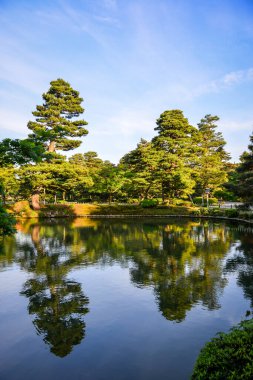 Japonya 'nın Kanazawa kentindeki ünlü Kenrokuen Bahçesi' ndeki yemyeşil, asırlık çam ağaçları ile ünlüdür..