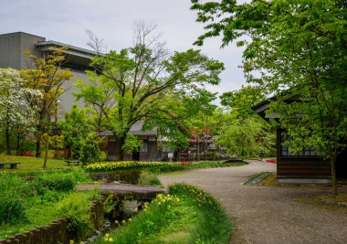 Tonami Park baharda yemyeşil ve Toyama Bölgesi, Japonya 'da bol ağaçlı..