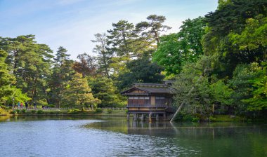 Japonya 'nın Kanazawa kentindeki ünlü Kenrokuen Bahçesi' ndeki yemyeşil, asırlık çam ağaçları ile ünlüdür..