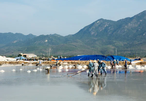 Gente vietnamita trabajando en el campo de sal Imágenes De Stock Sin Royalties Gratis