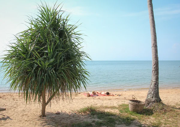 Beautiful tropical Sokha beach in Sihanoukville — Stock Photo, Image