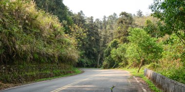 Kırsal yol ile kırsal manzara