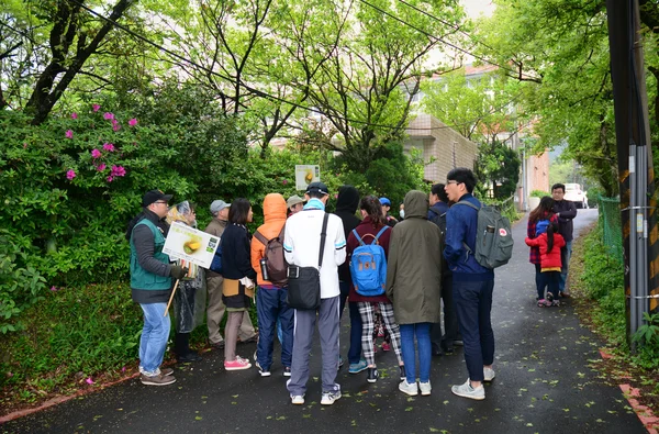 Grupo de pessoas caminhando pela floresta verde — Fotografia de Stock