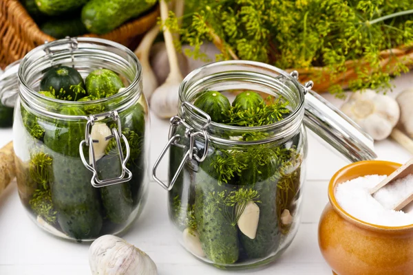 Zelfgemaakte augurken in pekel met knoflook, dille en mierikswortel — Stockfoto