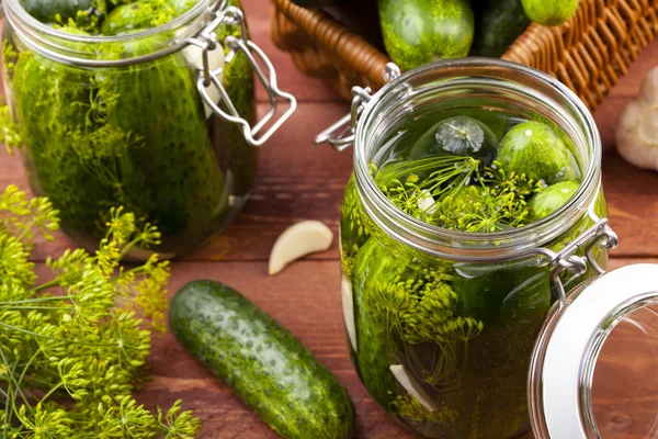 Homemade pickles in brine with garlic, dill and horseradish — Stock Photo, Image